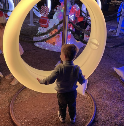 Zoo Lights at The Phoenix Zoo - Through January 15th